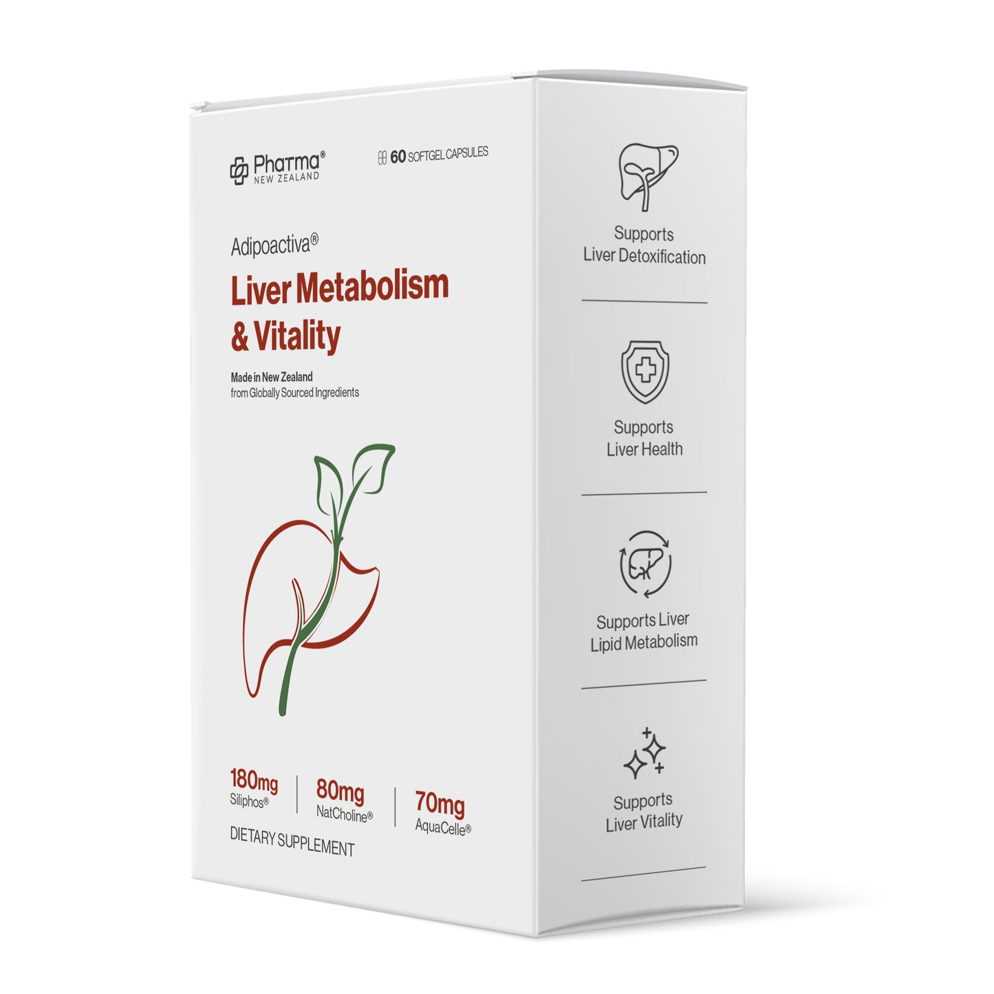 Adipoactiva® Liver Metabolism & Vitality